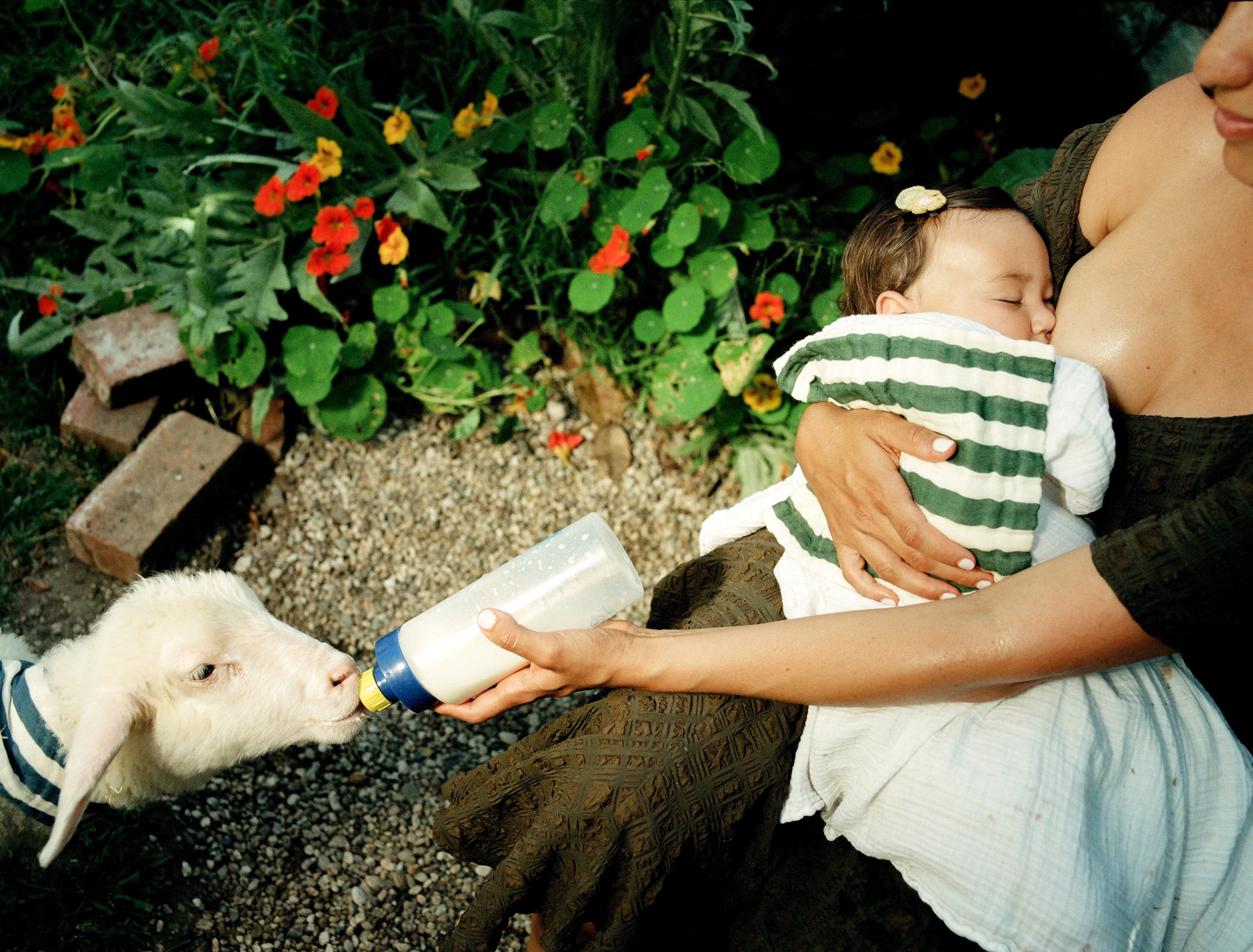 Person holding a baby and a lamb, with a bottle, in a garden setting.